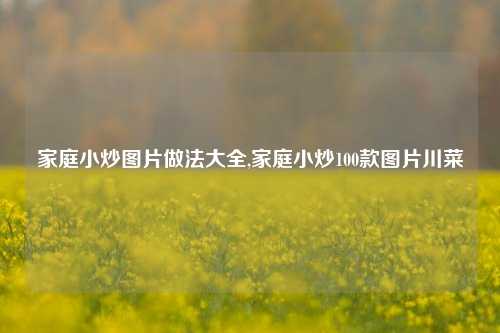 家庭小炒图片做法大全,家庭小炒100款图片川菜