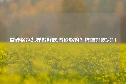 做砂锅鸡怎样做好吃,做砂锅鸡怎样做好吃窍门  第1张