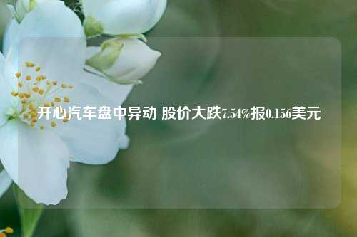 开心汽车盘中异动 股价大跌7.54%报0.156美元  第1张