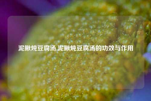 泥鳅炖豆腐汤,泥鳅炖豆腐汤的功效与作用  第1张