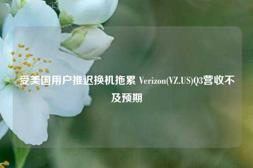 受美国用户推迟换机拖累 Verizon(VZ.US)Q3营收不及预期  第1张