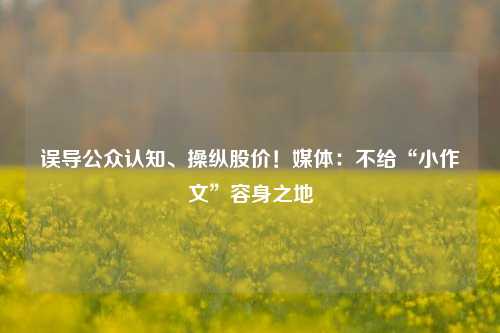 误导公众认知、操纵股价！媒体：不给“小作文”容身之地  第1张