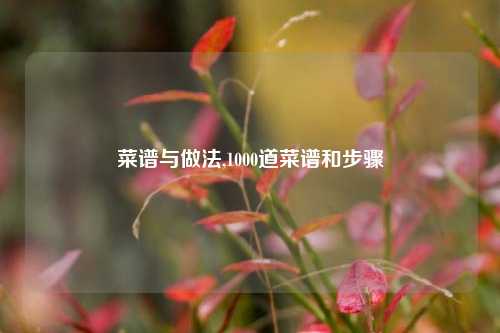 菜谱与做法,1000道菜谱和步骤