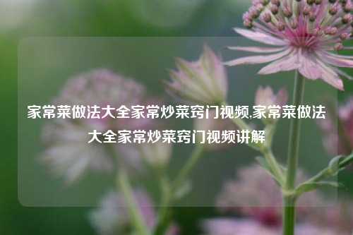 家常菜做法大全家常炒菜窍门视频,家常菜做法大全家常炒菜窍门视频讲解  第1张