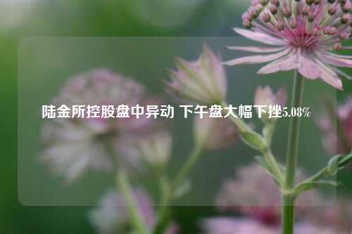 陆金所控股盘中异动 下午盘大幅下挫5.08%  第1张