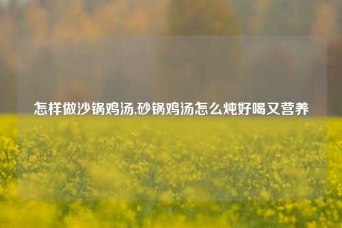 怎样做沙锅鸡汤,砂锅鸡汤怎么炖好喝又营养