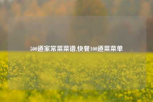 500道家常菜菜谱,快餐100道菜菜单