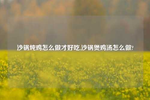 沙锅炖鸡怎么做才好吃,沙锅煲鸡汤怎么做?