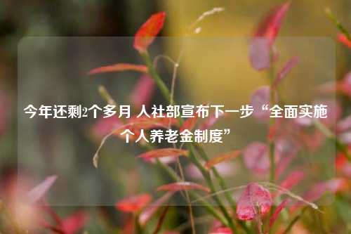 今年还剩2个多月 人社部宣布下一步“全面实施个人养老金制度”  第1张