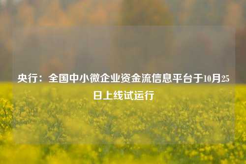 央行：全国中小微企业资金流信息平台于10月25日上线试运行  第1张