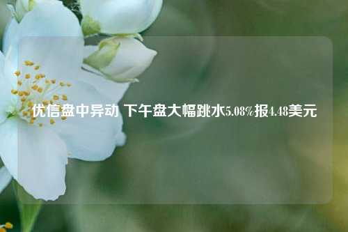 优信盘中异动 下午盘大幅跳水5.08%报4.48美元