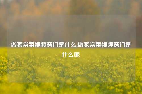 做家常菜视频窍门是什么,做家常菜视频窍门是什么呢