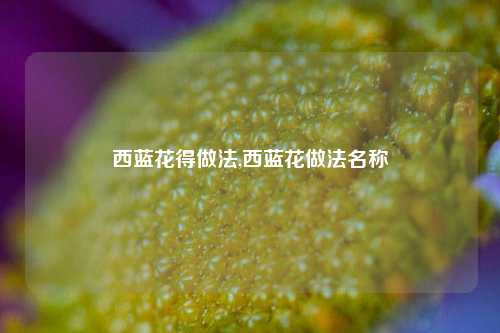 西蓝花得做法,西蓝花做法名称