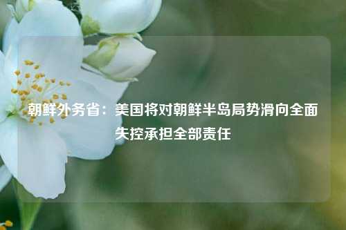 朝鲜外务省：美国将对朝鲜半岛局势滑向全面失控承担全部责任  第1张