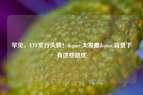 罕见，ETF发行失败！"大发展"背景下有这些隐忧  第1张