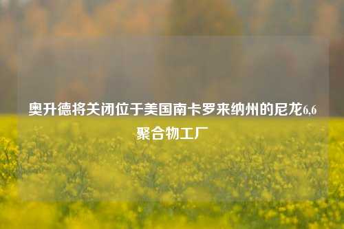 奥升德将关闭位于美国南卡罗来纳州的尼龙6,6聚合物工厂  第1张