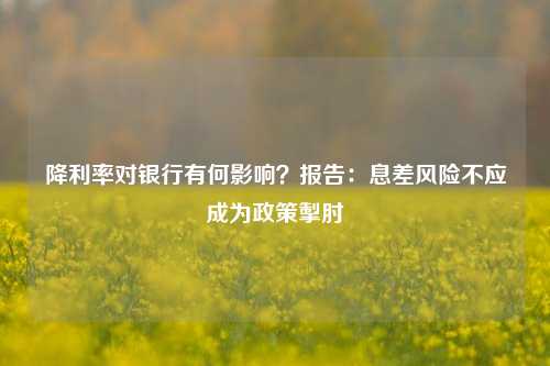 降利率对银行有何影响？报告：息差风险不应成为政策掣肘  第1张