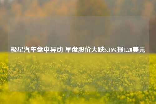 极星汽车盘中异动 早盘股价大跌5.16%报1.20美元  第1张