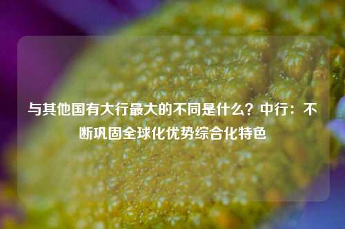 与其他国有大行最大的不同是什么？中行：不断巩固全球化优势综合化特色