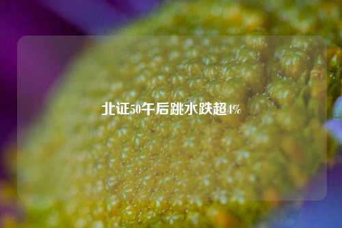 北证50午后跳水跌超4%  第1张