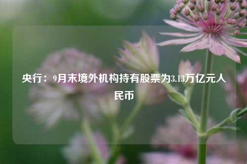 央行：9月末境外机构持有股票为3.13万亿元人民币  第1张