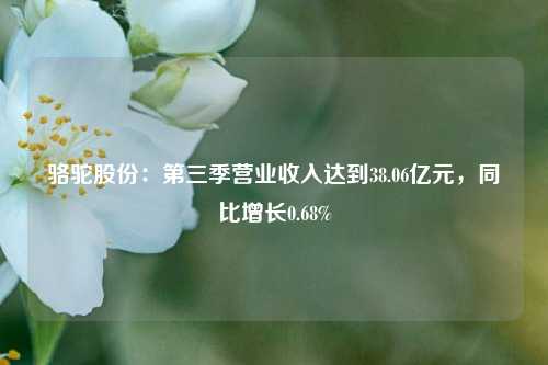 骆驼股份：第三季营业收入达到38.06亿元，同比增长0.68%  第1张