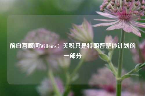 前白宫顾问Willems：关税只是特朗普整体计划的一部分  第1张