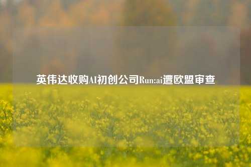 英伟达收购AI初创公司Run:ai遭欧盟审查  第1张