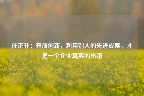 任正非：开放创新，利用别人的先进成果，才是一个企业真实的出路