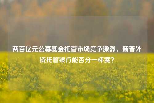 两百亿元公募基金托管市场竞争激烈，新晋外资托管银行能否分一杯羹？  第1张