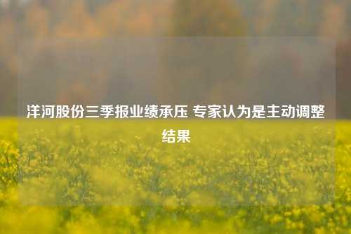 洋河股份三季报业绩承压 专家认为是主动调整结果