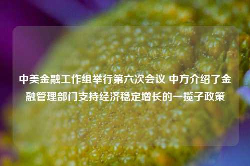 中美金融工作组举行第六次会议 中方介绍了金融管理部门支持经济稳定增长的一揽子政策  第1张