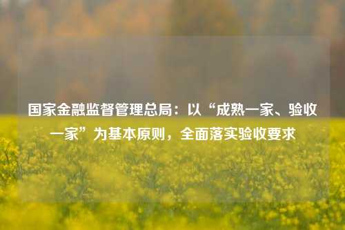 国家金融监督管理总局：以“成熟一家、验收一家”为基本原则，全面落实验收要求