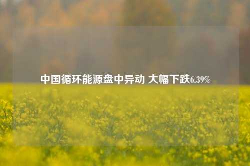 中国循环能源盘中异动 大幅下跌6.39%