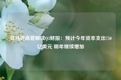 亚马逊高管解读Q3财报：预计今年资本支出750亿美元 明年继续增加