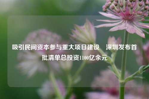 吸引民间资本参与重大项目建设　深圳发布首批清单总投资1100亿余元