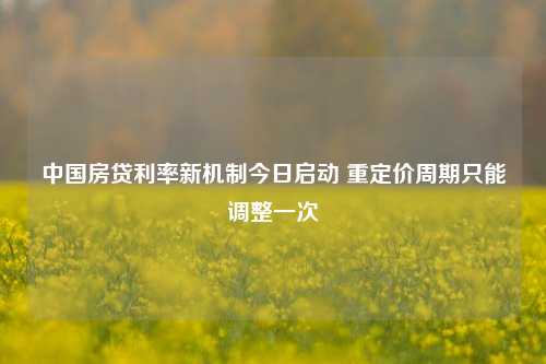 中国房贷利率新机制今日启动 重定价周期只能调整一次