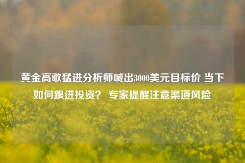 黄金高歌猛进分析师喊出3000美元目标价 当下如何跟进投资？ 专家提醒注意渠道风险