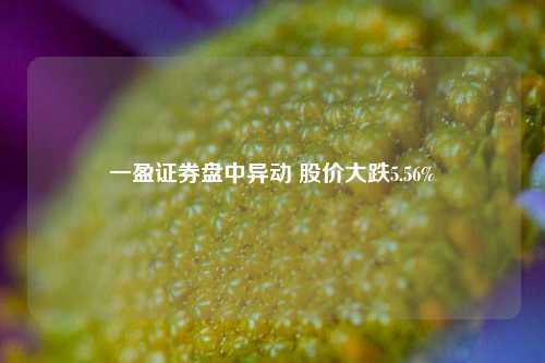 一盈证券盘中异动 股价大跌5.56%