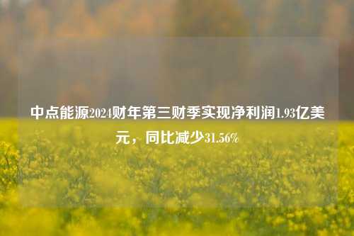 中点能源2024财年第三财季实现净利润1.93亿美元，同比减少31.56%