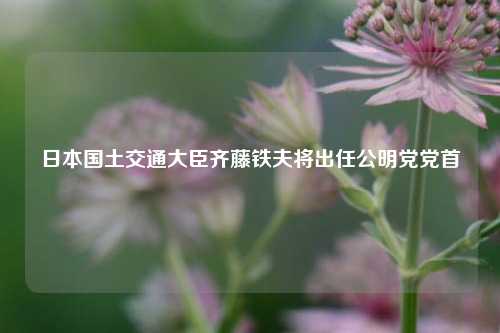 日本国土交通大臣齐藤铁夫将出任公明党党首