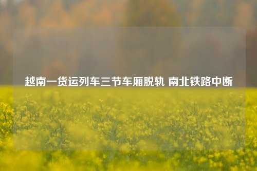 越南一货运列车三节车厢脱轨 南北铁路中断