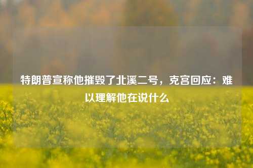 特朗普宣称他摧毁了北溪二号，克宫回应：难以理解他在说什么