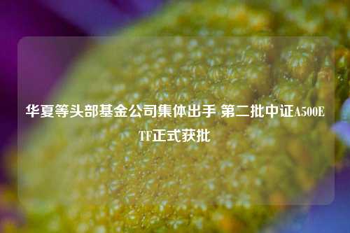 华夏等头部基金公司集体出手 第二批中证A500ETF正式获批  第1张