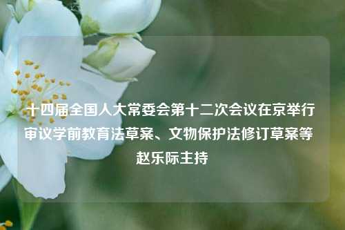 十四届全国人大常委会第十二次会议在京举行 审议学前教育法草案、文物保护法修订草案等  赵乐际主持 第1张