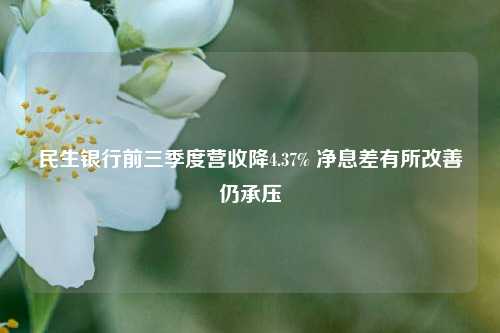 民生银行前三季度营收降4.37% 净息差有所改善仍承压  第1张