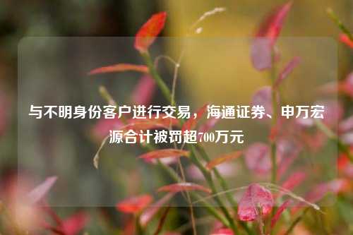 与不明身份客户进行交易，海通证券、申万宏源合计被罚超700万元