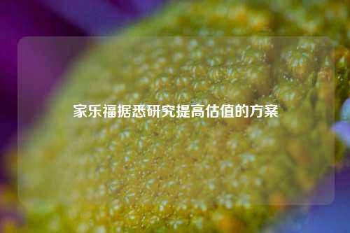 家乐福据悉研究提高估值的方案  第1张