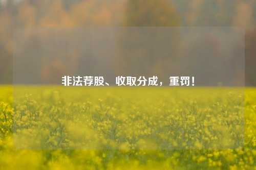 非法荐股、收取分成，重罚！