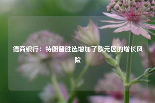 德商银行：特朗普胜选增加了欧元区的增长风险  第1张